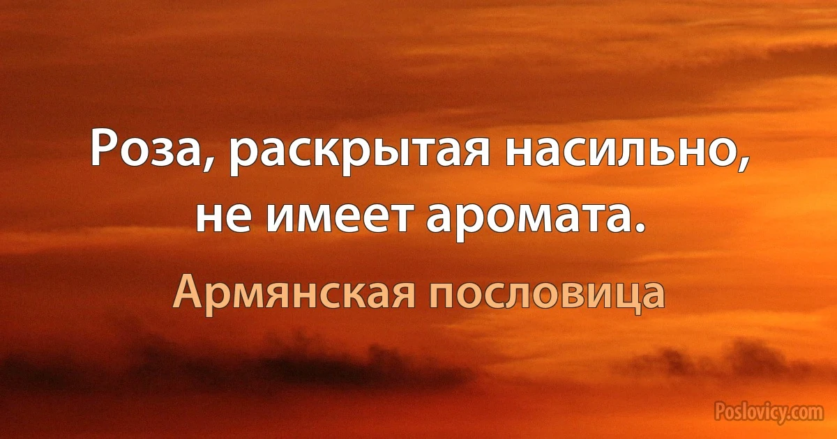 Роза, раскрытая насильно, не имеет аромата. (Армянская пословица)
