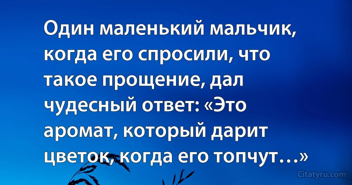 Один маленький мальчик, когда его спросили, что такое прощение, дал чудесный ответ: «Это аромат, который дарит цветок, когда его топчут…» (INZ RU)