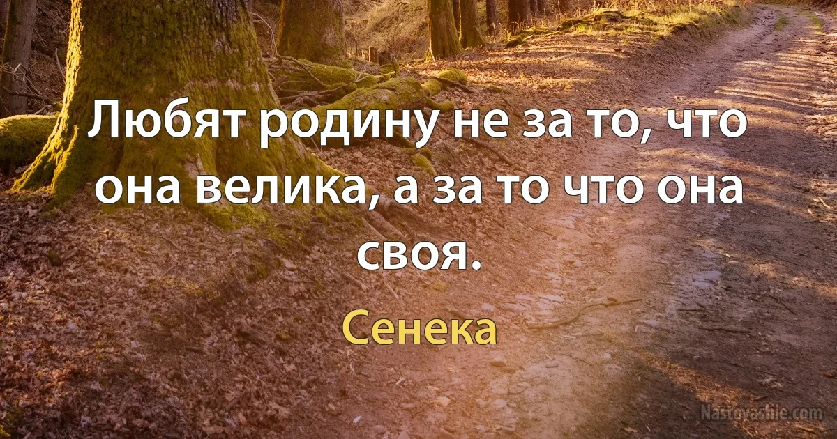 Любят родину не за то, что она велика, а за то что она своя. ()