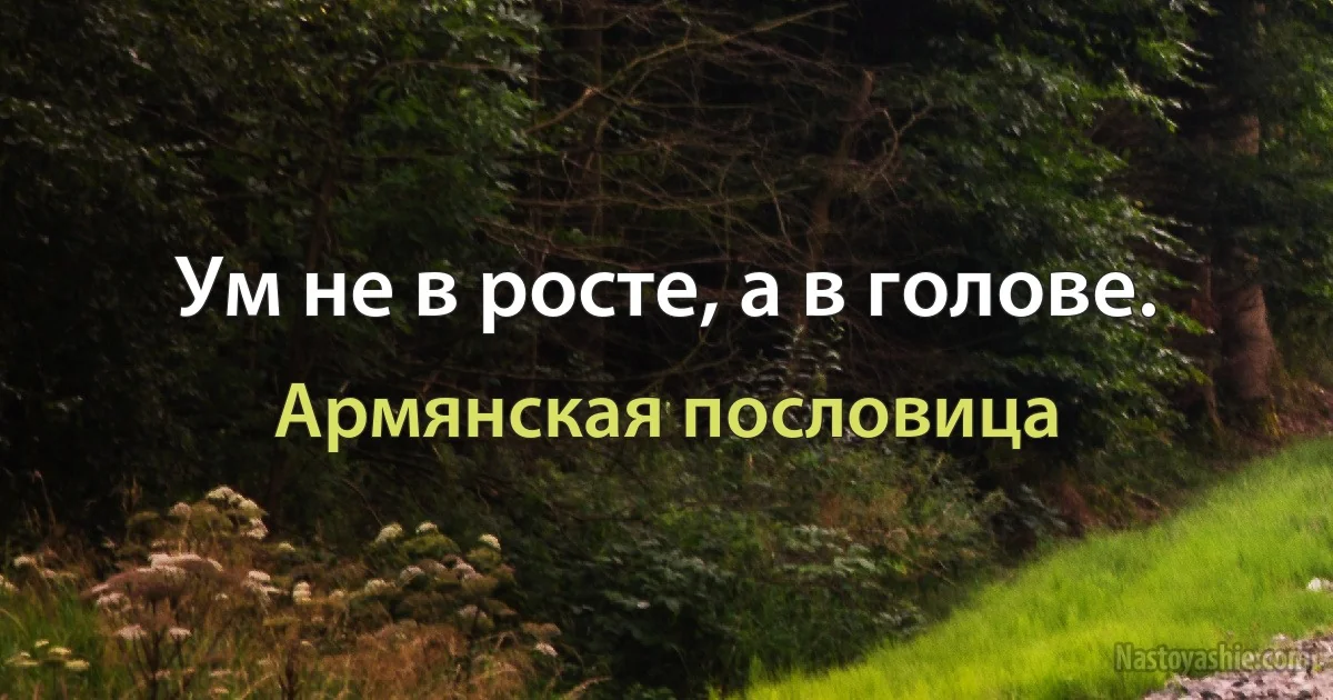 Ум не в росте, а в голове. (Армянская пословица)