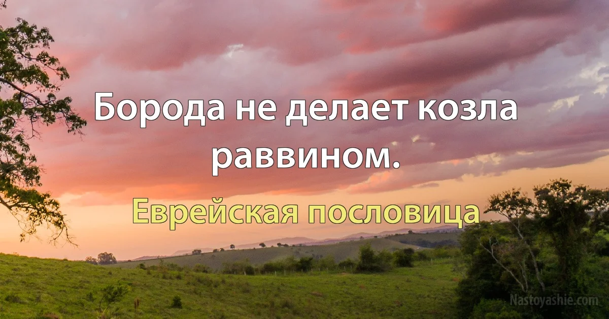 Борода не делает козла раввином. (Еврейская пословица)