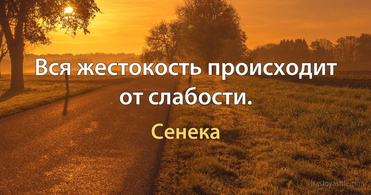 Вся жестокость происходит от слабости. (Сенека)