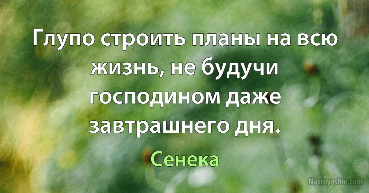 Глупо строить планы на всю жизнь, не будучи господином даже завтрашнего дня. (Сенека)