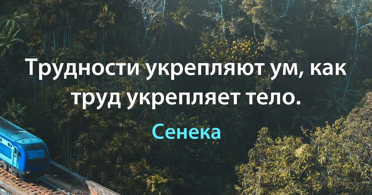 Трудности укрепляют ум, как труд укрепляет тело. (Сенека)