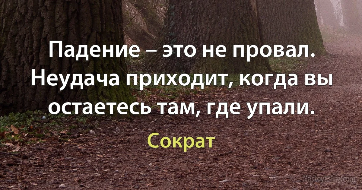 Падение – это не провал. Неудача приходит, когда вы остаетесь там, где упали. (Сократ)