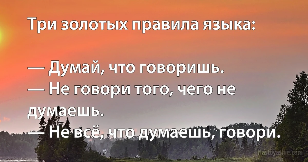 Три золотых правила языка:

— Думай, что говоришь.
— Не говори того, чего не думаешь.
— Не всё, что думаешь, говори. (INZ RU)