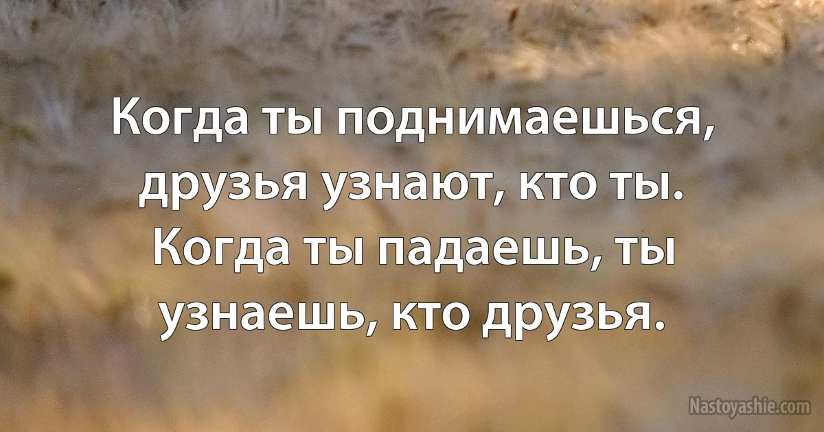 Когда ты поднимаешься, друзья узнают, кто ты. Когда ты падаешь, ты узнаешь, кто друзья. (INZ RU)