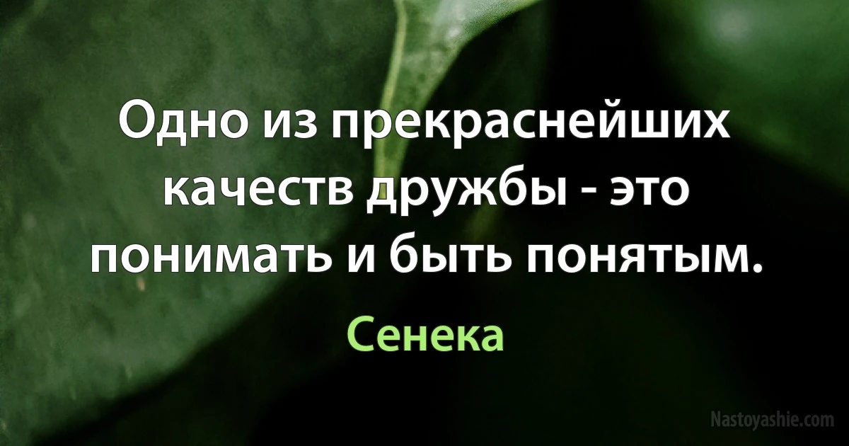 Одно из прекраснейших качеств дружбы - это понимать и быть понятым. (Сенека)