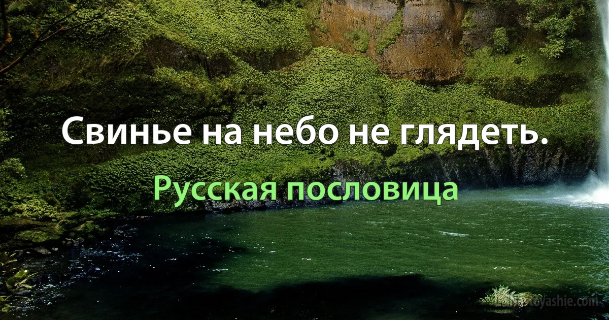 Свинье на небо не глядеть. (Русская пословица)