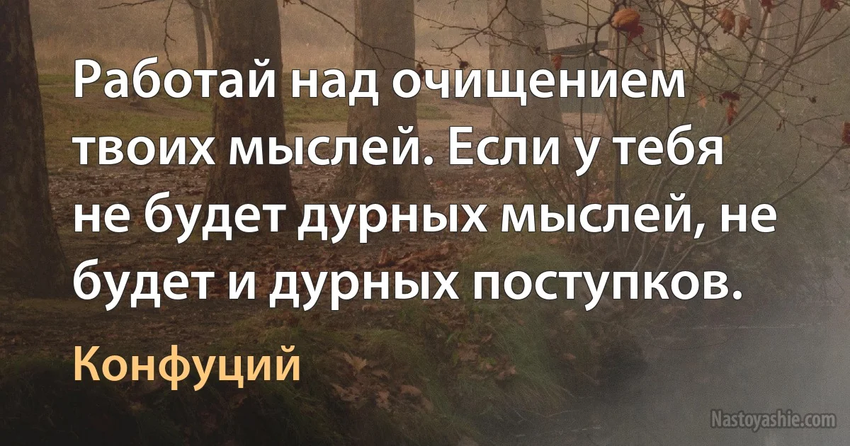 Работай над очищением твоих мыслей. Если у тебя не будет дурных мыслей, не будет и дурных поступков. (Конфуций)