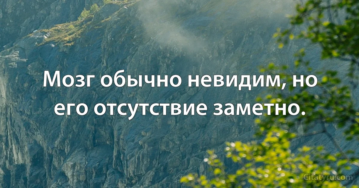 Мозг обычно невидим, но его отсутствие заметно. (INZ RU)
