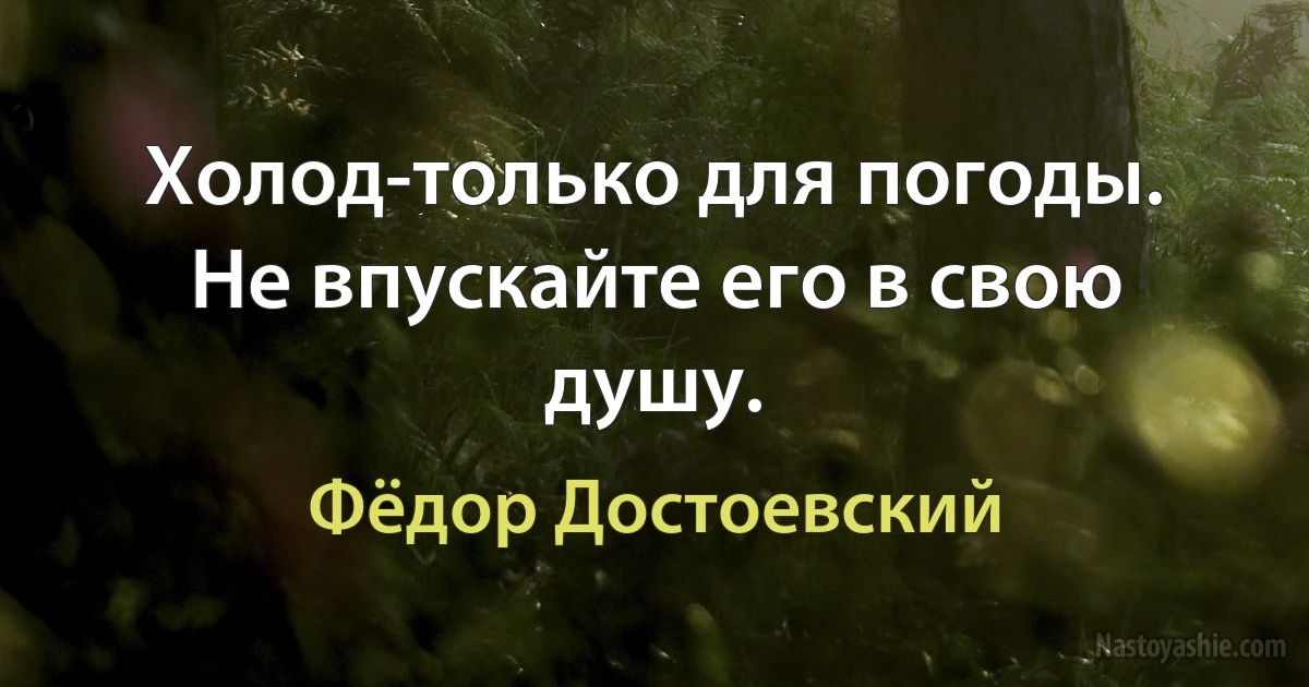 Холод-только для погоды. Не впускайте его в свою душу. (Фёдор Достоевский)