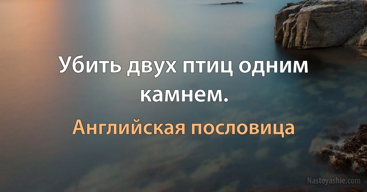 Убить двух птиц одним камнем. (Английская пословица)