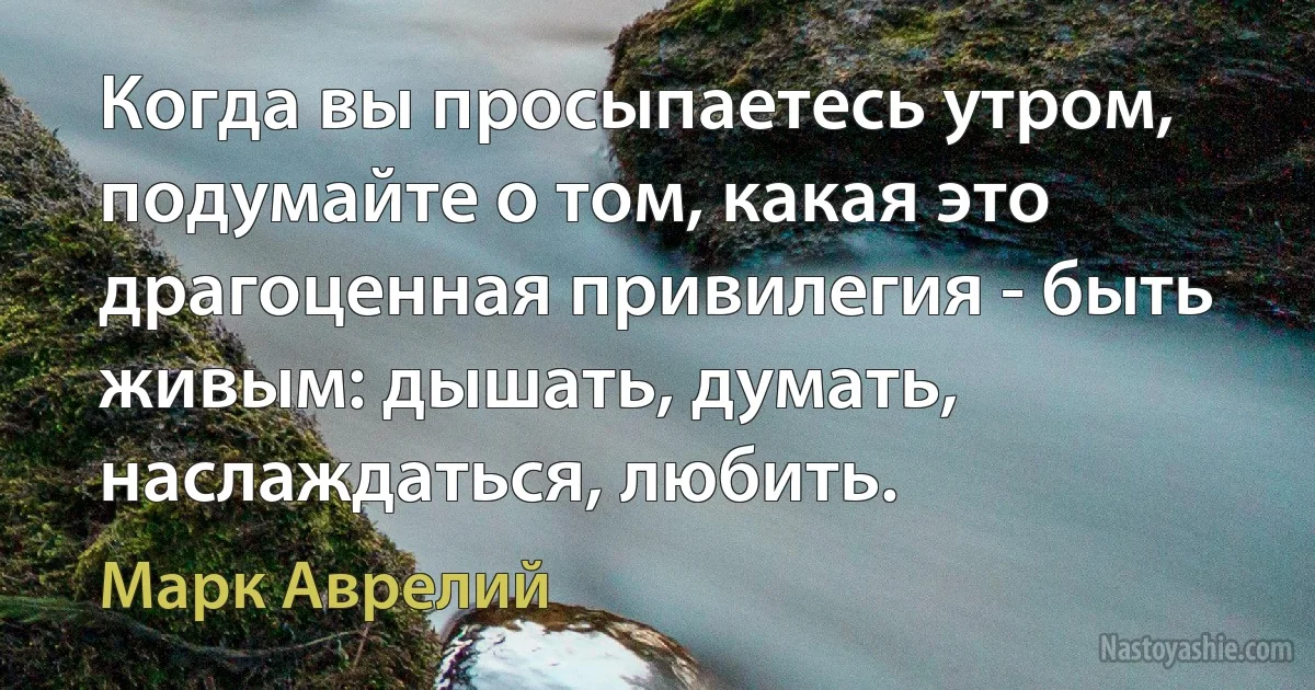 Когда вы просыпаетесь утром, подумайте о том, какая это драгоценная привилегия - быть живым: дышать, думать, наслаждаться, любить. (Марк Аврелий)