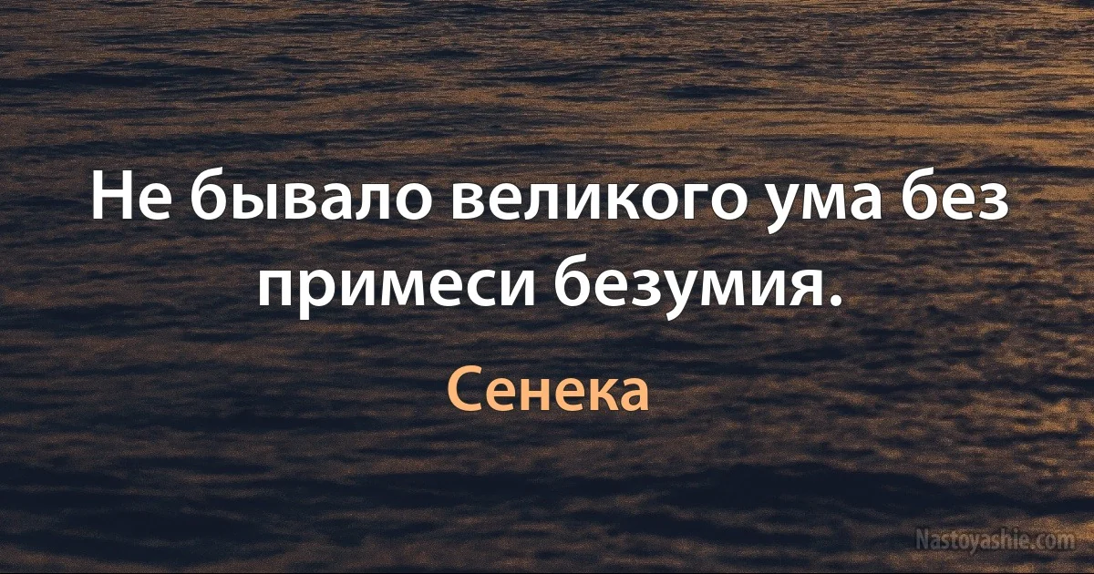 Не бывало великого ума без примеси безумия. ()