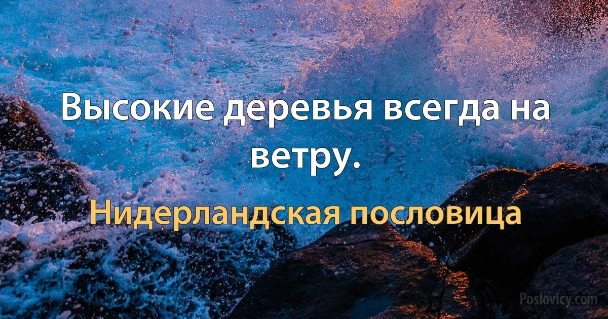 Высокие деревья всегда на ветру. (Нидерландская пословица)