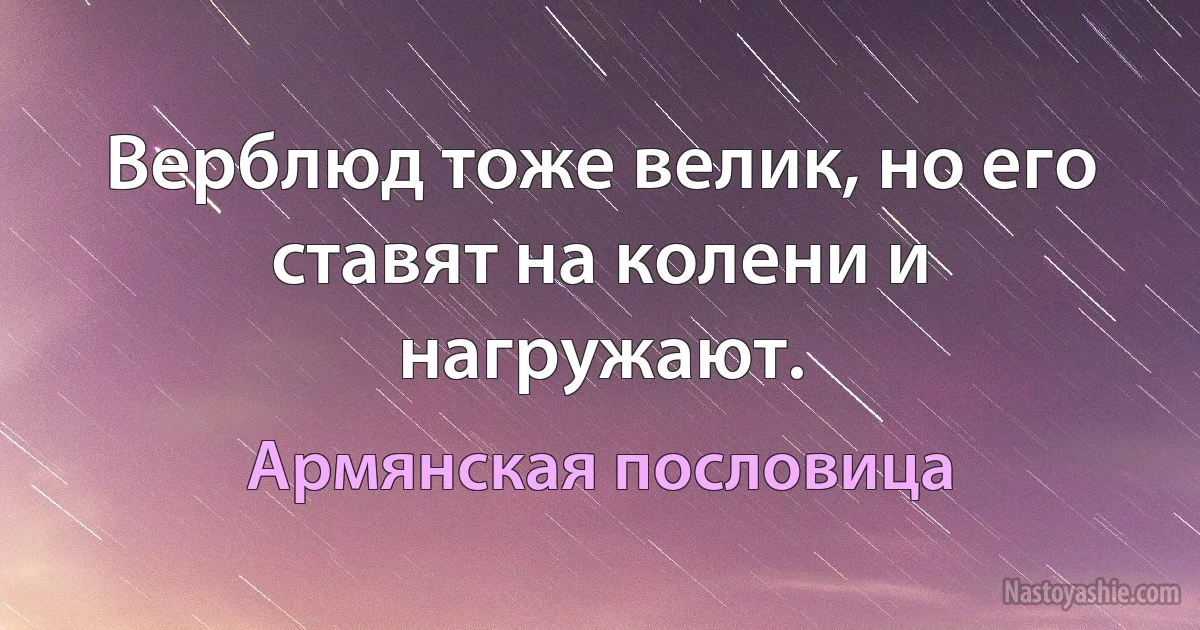 Верблюд тоже велик, но его ставят на колени и нагружают. (Армянская пословица)