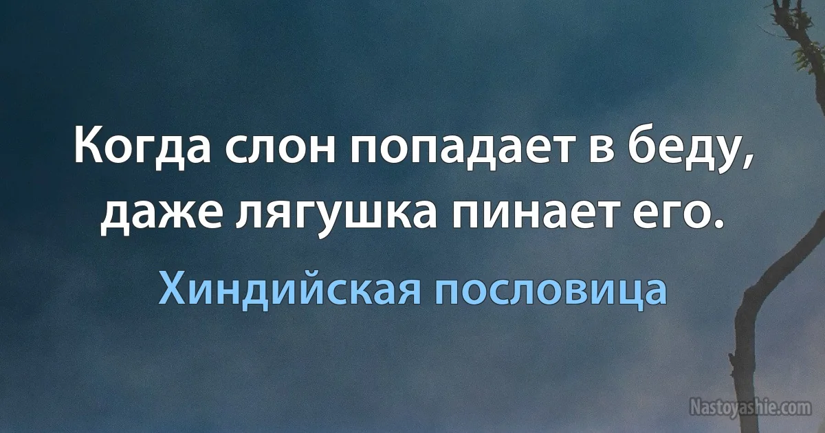 Когда слон попадает в беду, даже лягушка пинает его. ()