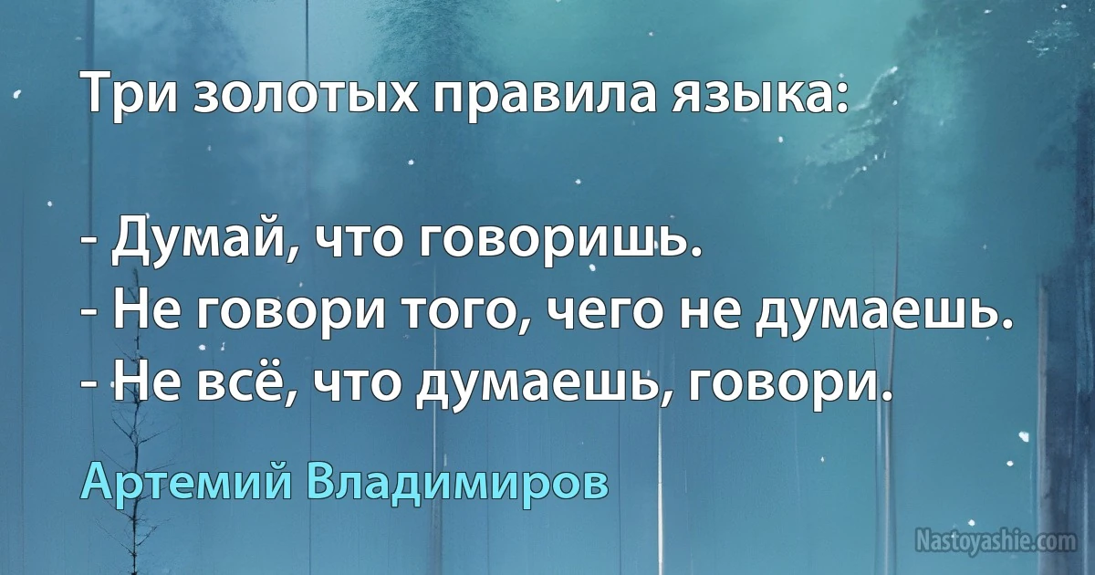 Три золотых правила языка:

- Думай, что говоришь.
- Не говори того, чего не думаешь.
- Не всё, что думаешь, говори. ()