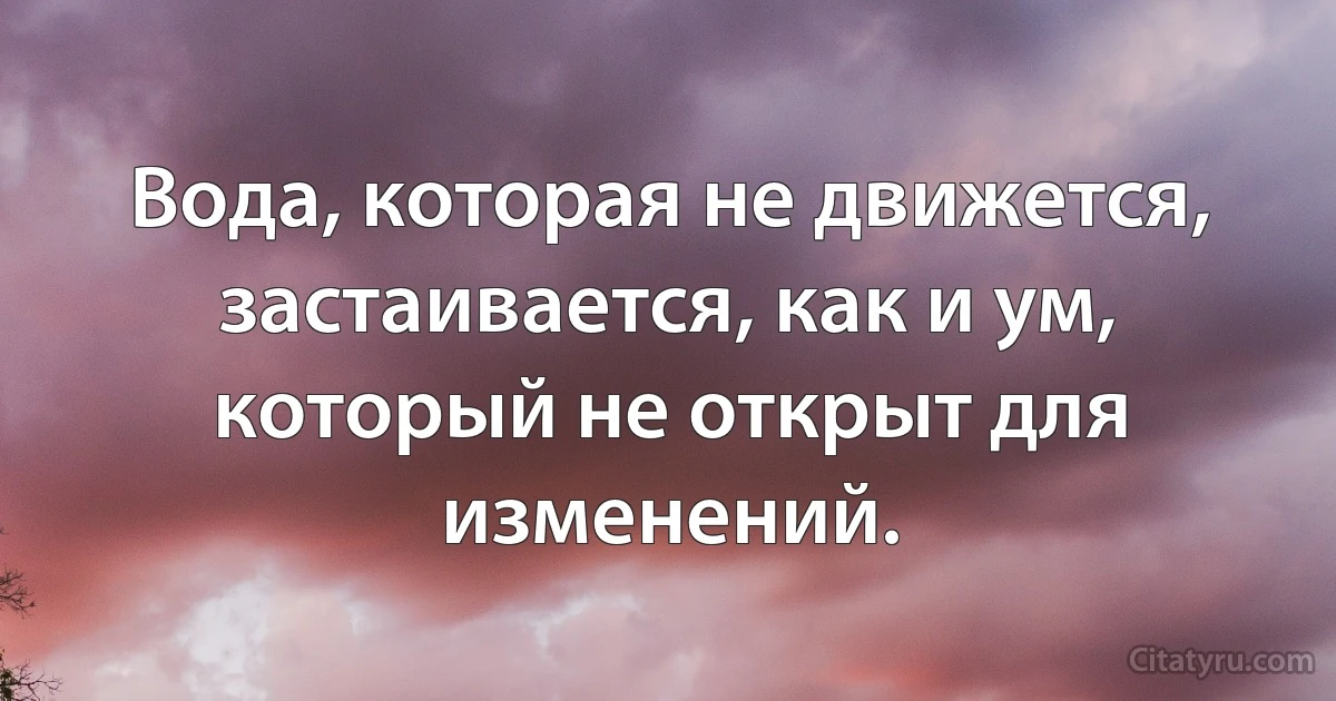 Вода, которая не движется, застаивается, как и ум, который не открыт для изменений. (INZ RU)