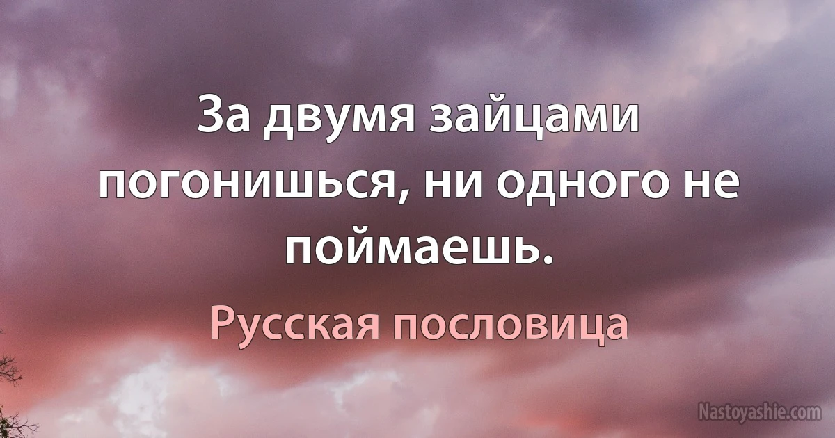 За двумя зайцами погонишься, ни одного не поймаешь. (Русская пословица)