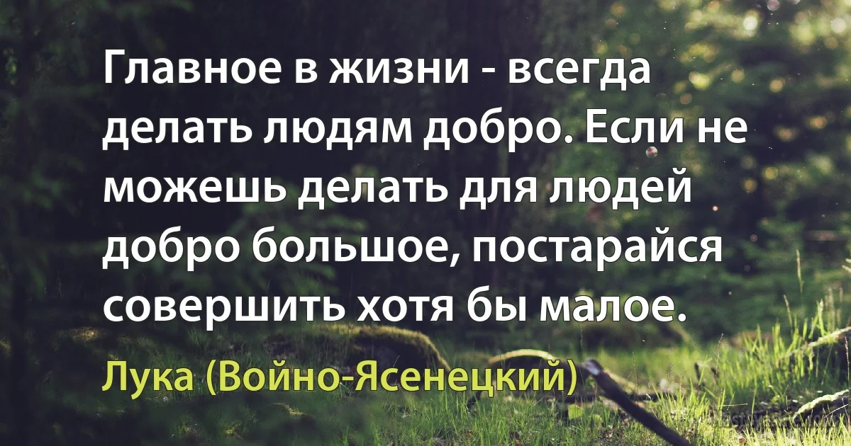 Главное в жизни - всегда делать людям добро. Если не можешь делать для людей добро большое, постарайся совершить хотя бы малое. (Лука (Войно-Ясенецкий))