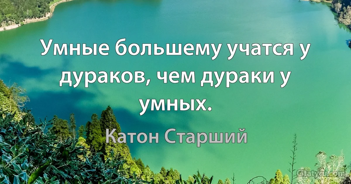 Умные большему учатся у дураков, чем дураки у умных. (Катон Старший)
