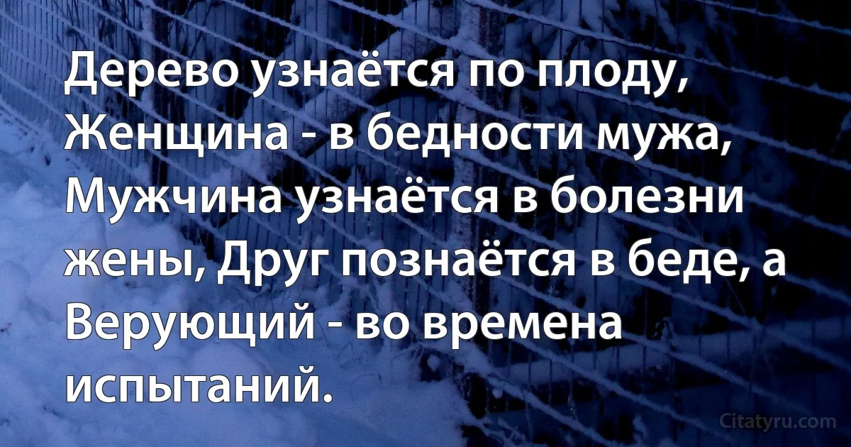 Дерево узнаётся по плоду, Женщина - в бедности мужа, Мужчина узнаётся в болезни жены, Друг познаётся в беде, а Верующий - во времена испытаний. (INZ RU)