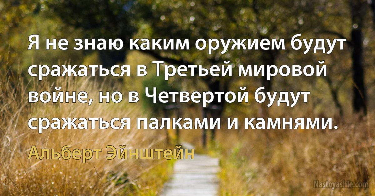 Я не знаю каким оружием будут сражаться в Третьей мировой войне, но в Четвертой будут сражаться палками и камнями. (Альберт Эйнштейн)