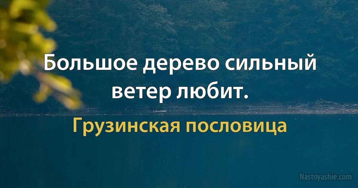 Большое дерево сильный ветер любит. (Грузинская пословица)