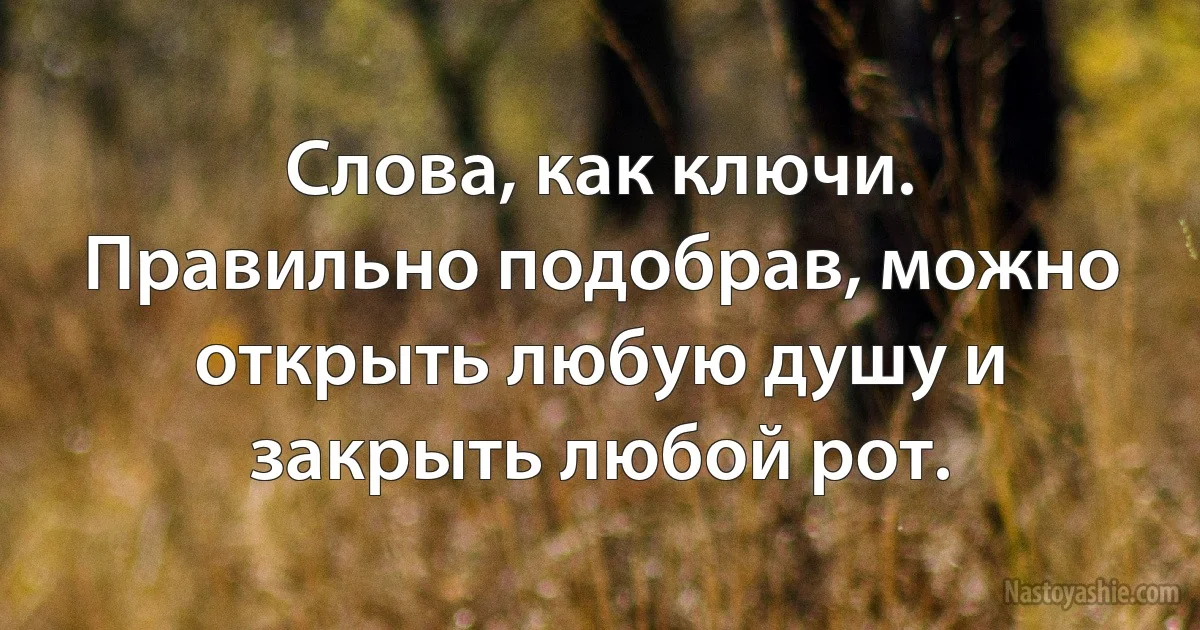 Слова, как ключи. Правильно подобрав, можно открыть любую душу и закрыть любой рот. (INZ RU)