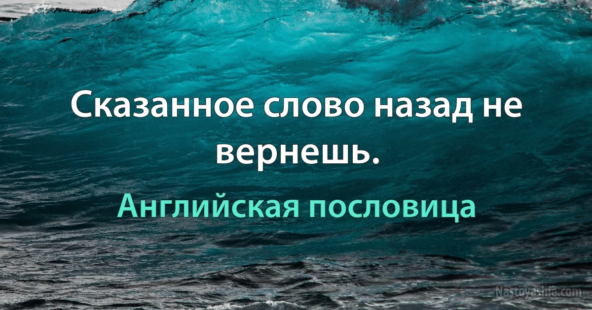 Сказанное слово назад не вернешь. (Английская пословица)