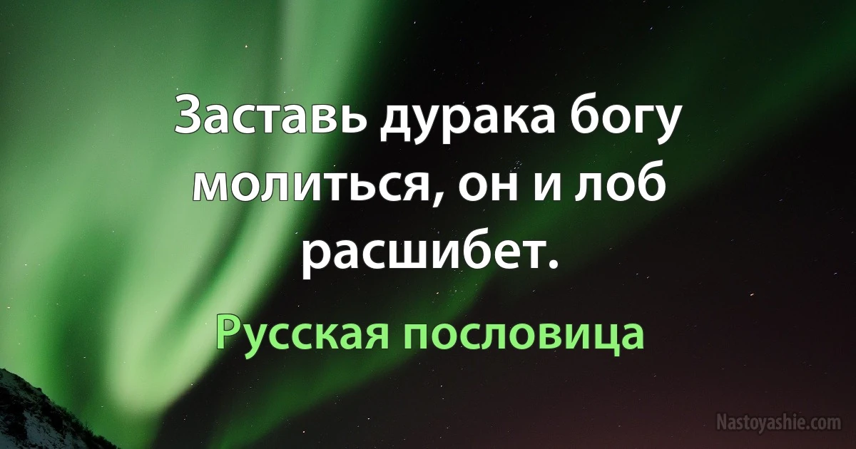 Заставь дурака богу молиться, он и лоб расшибет. (Русская пословица)