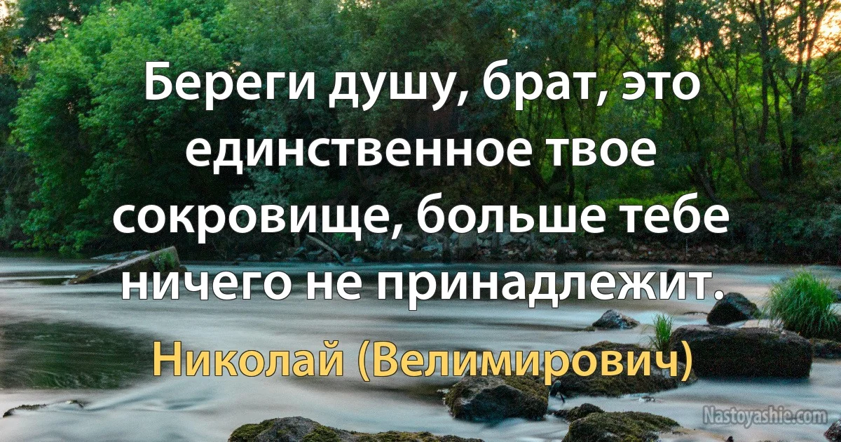 Береги душу, брат, это единственное твое сокровище, больше тебе ничего не принадлежит. (Николай (Велимирович))