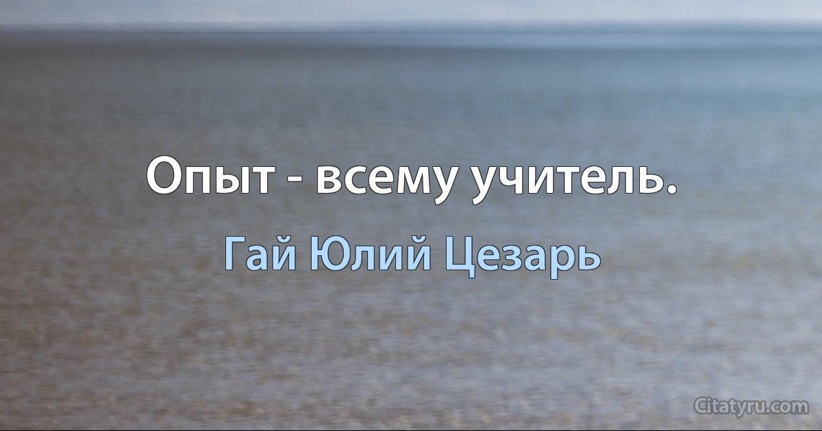 Опыт - всему учитель. (Гай Юлий Цезарь)