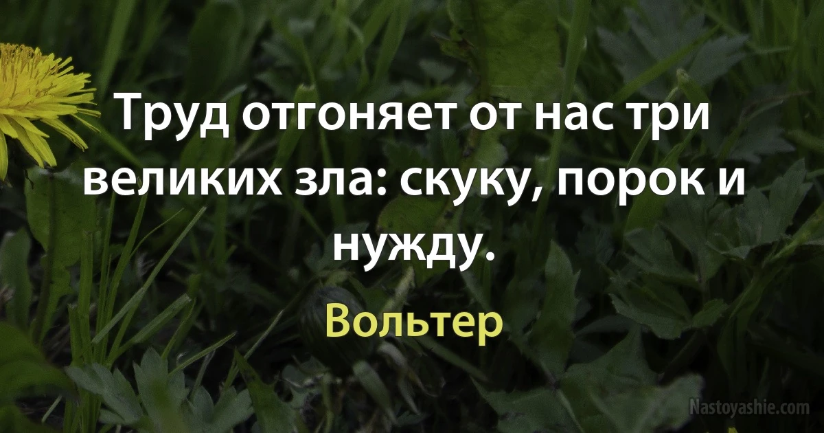 Труд отгоняет от нас три великих зла: скуку, порок и нужду. (Вольтер)