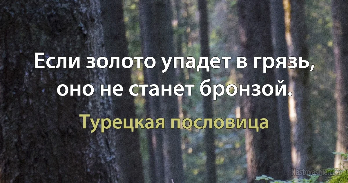 Если золото упадет в грязь, оно не станет бронзой. (Турецкая пословица)