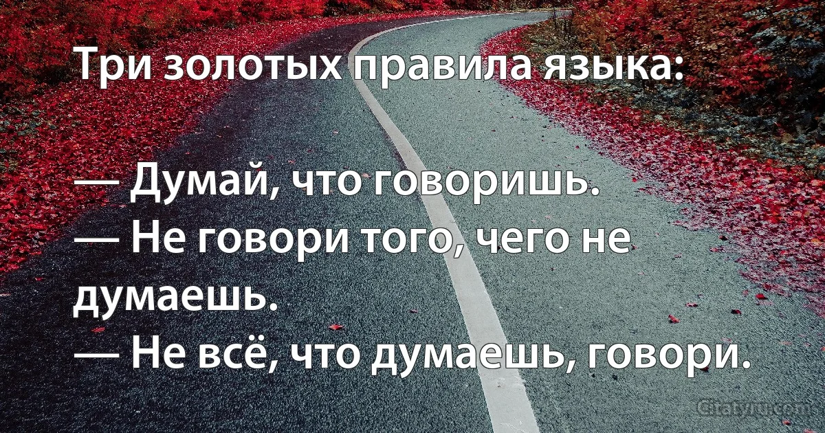 Три золотых правила языка:

— Думай, что говоришь.
— Не говори того, чего не думаешь.
— Не всё, что думаешь, говори. (INZ RU)