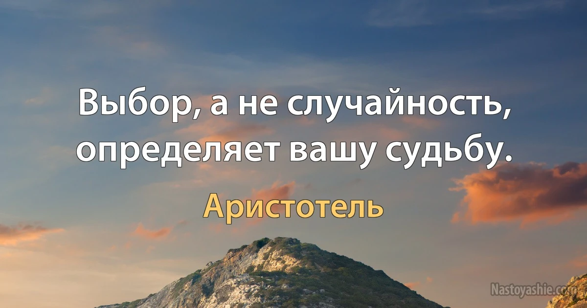 Выбор, а не случайность, определяет вашу судьбу. (Аристотель)