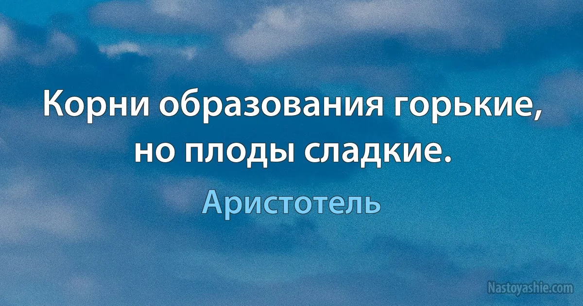 Корни образования горькие, но плоды сладкие. (Аристотель)