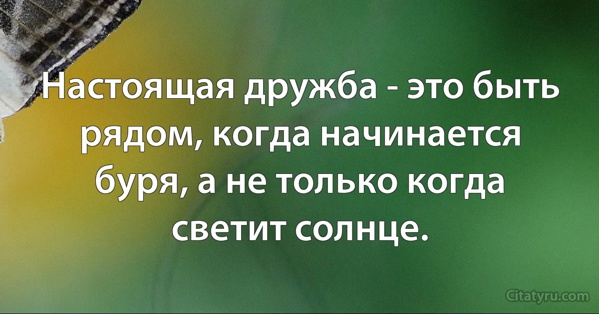 Настоящая дружба - это быть рядом, когда начинается буря, а не только когда светит солнце. (INZ RU)