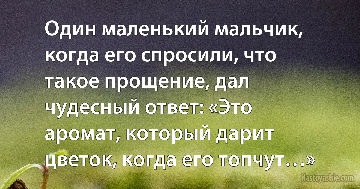 Один маленький мальчик, когда его спросили, что такое прощение, дал чудесный ответ: «Это аромат, который дарит цветок, когда его топчут…» (INZ RU)