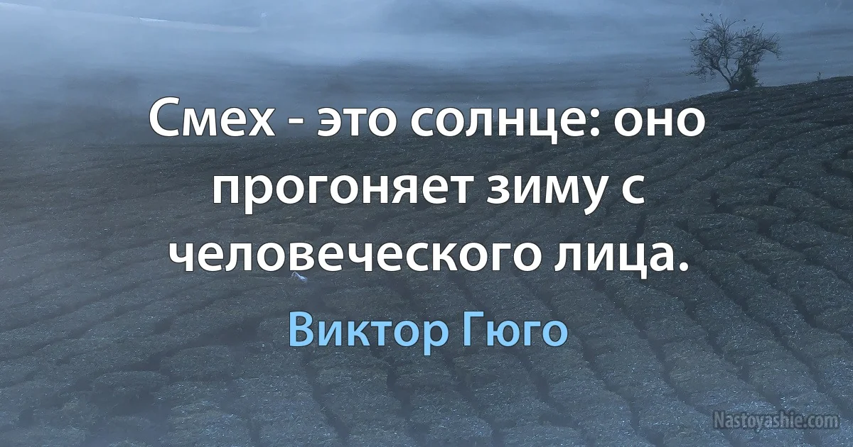 Смех - это солнце: оно прогоняет зиму с человеческого лица. (Виктор Гюго)