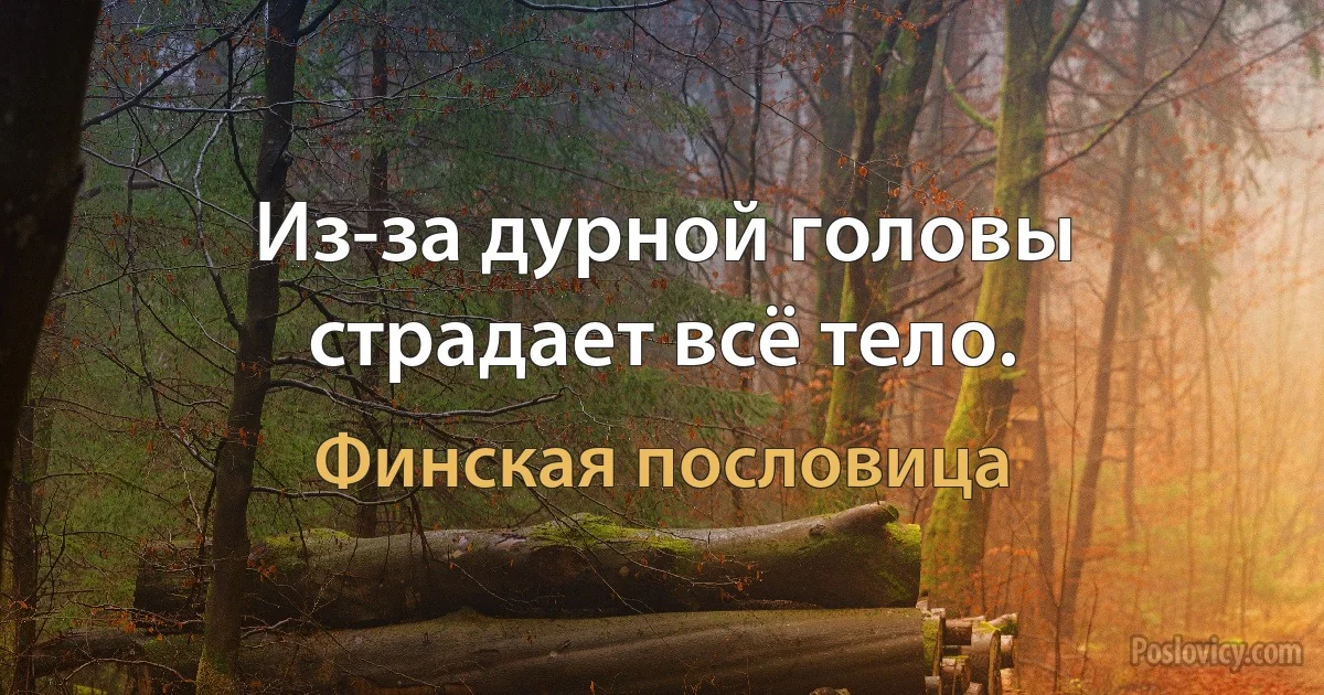Из-за дурной головы страдает всё тело. (Финская пословица)