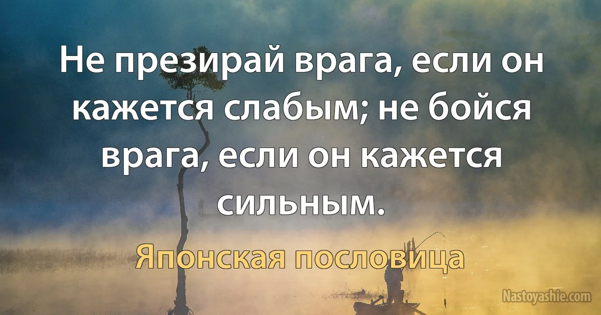 Не презирай врага, если он кажется слабым; не бойся врага, если он кажется сильным. (Японская пословица)