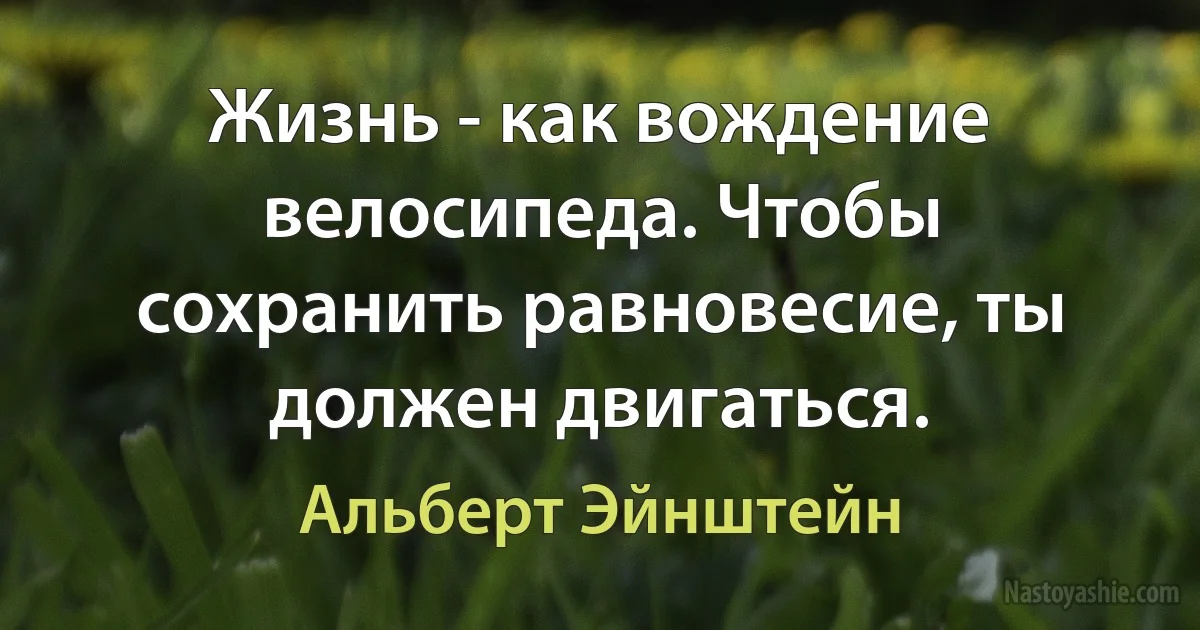 Жизнь - как вождение велосипеда. Чтобы сохранить равновесие, ты должен двигаться. ()