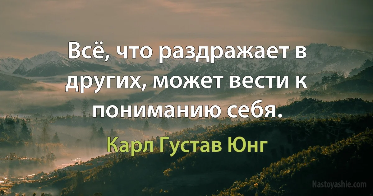 Всё, что раздражает в других, может вести к пониманию себя. (Карл Густав Юнг)