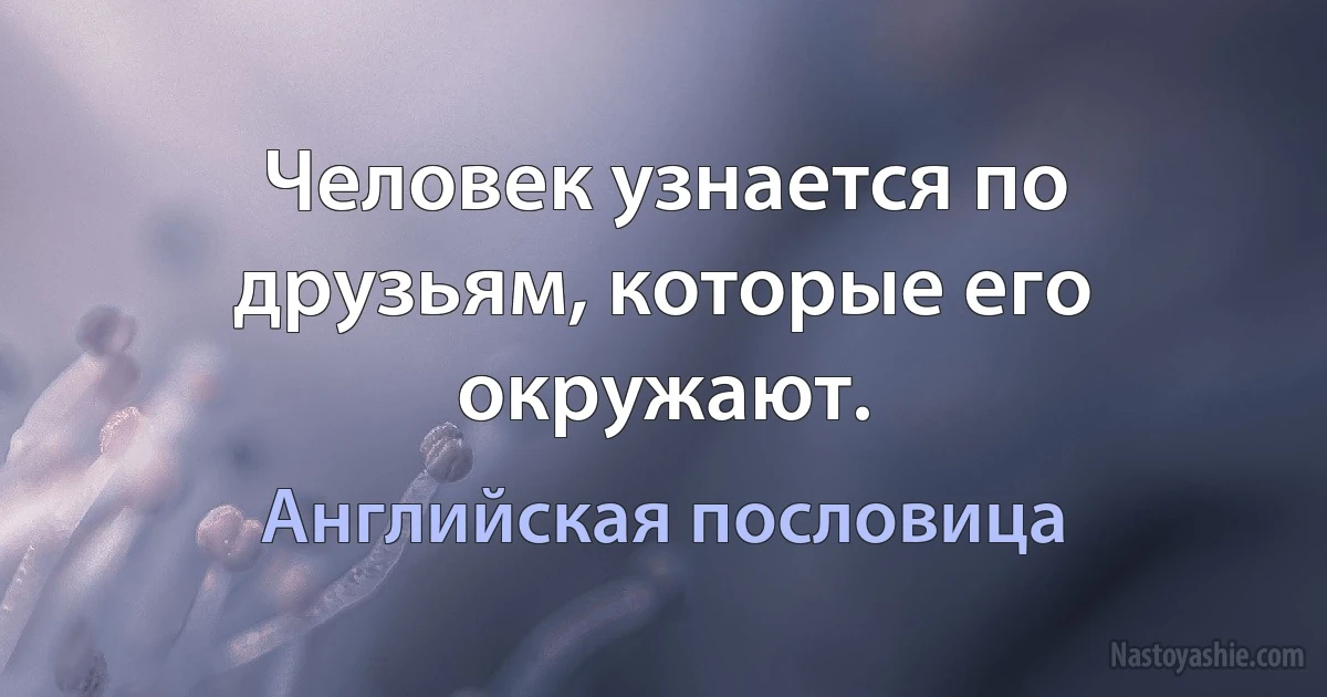 Человек узнается по друзьям, которые его окружают. (Английская пословица)