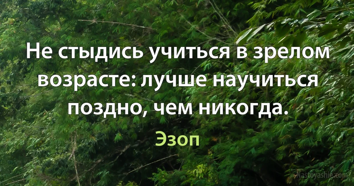 Не стыдись учиться в зрелом возрасте: лучше научиться поздно, чем никогда. (Эзоп)