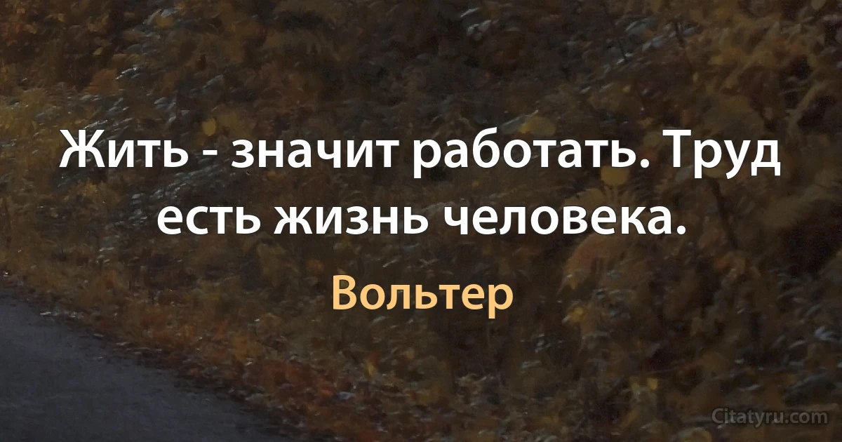Жить - значит работать. Труд есть жизнь человека. (Вольтер)